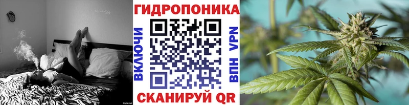 сколько стоит  Томари  блэк спрут ссылки  Конопля AK-47 
